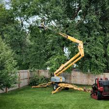 Best Organic Lawn Care Solutions  in Thruston, KY