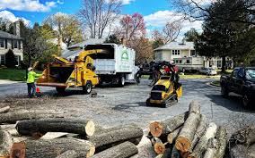 Best Artificial Turf Installation  in Thruston, KY