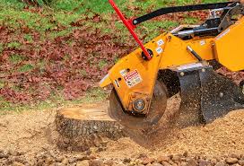 Best Fruit Tree Pruning  in Thruston, KY